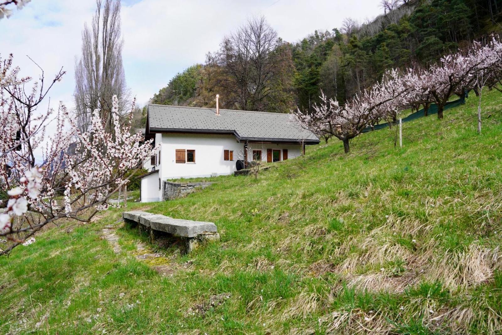 Maisonnette De Campagne Sion Exterior photo